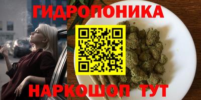 прущие грибы Сланцы