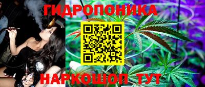 прущие грибы Сланцы