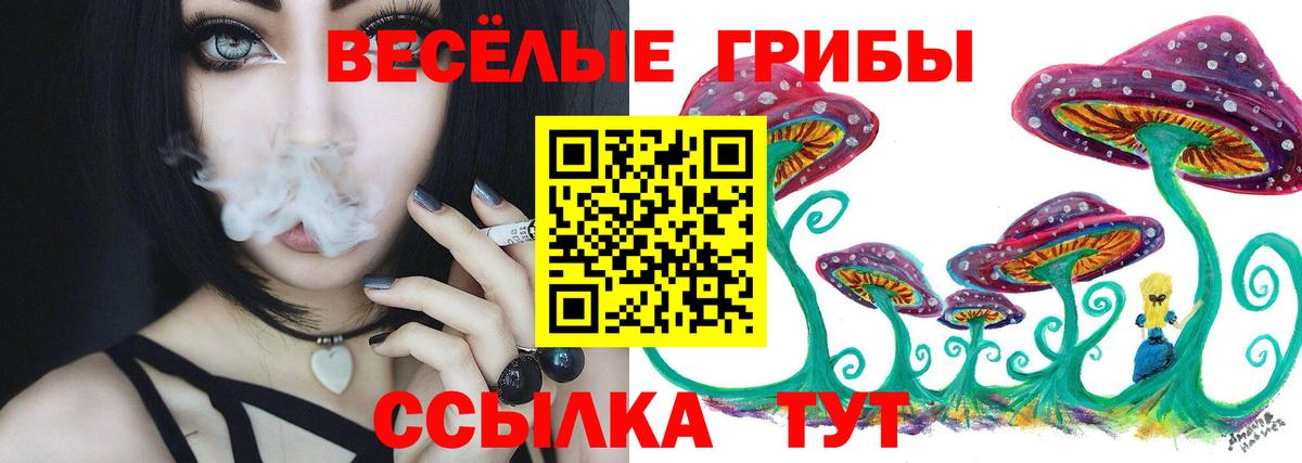 Псилоцибиновые грибы Psilocybe Свободный